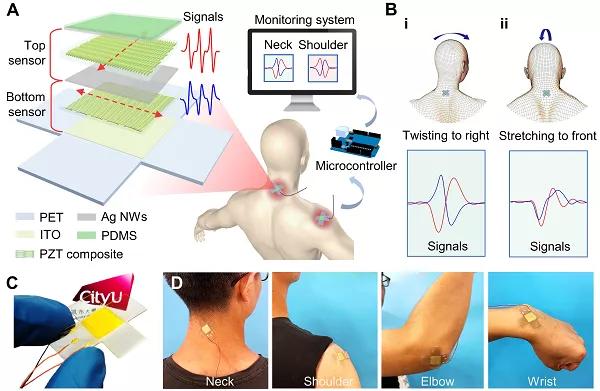 香港城大楊征保課題組Science子刊：一種新型柔性壓電陶瓷剪紙，用于預(yù)防關(guān)節(jié)疾病